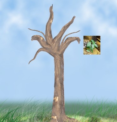 Creation of Tree: Step 8